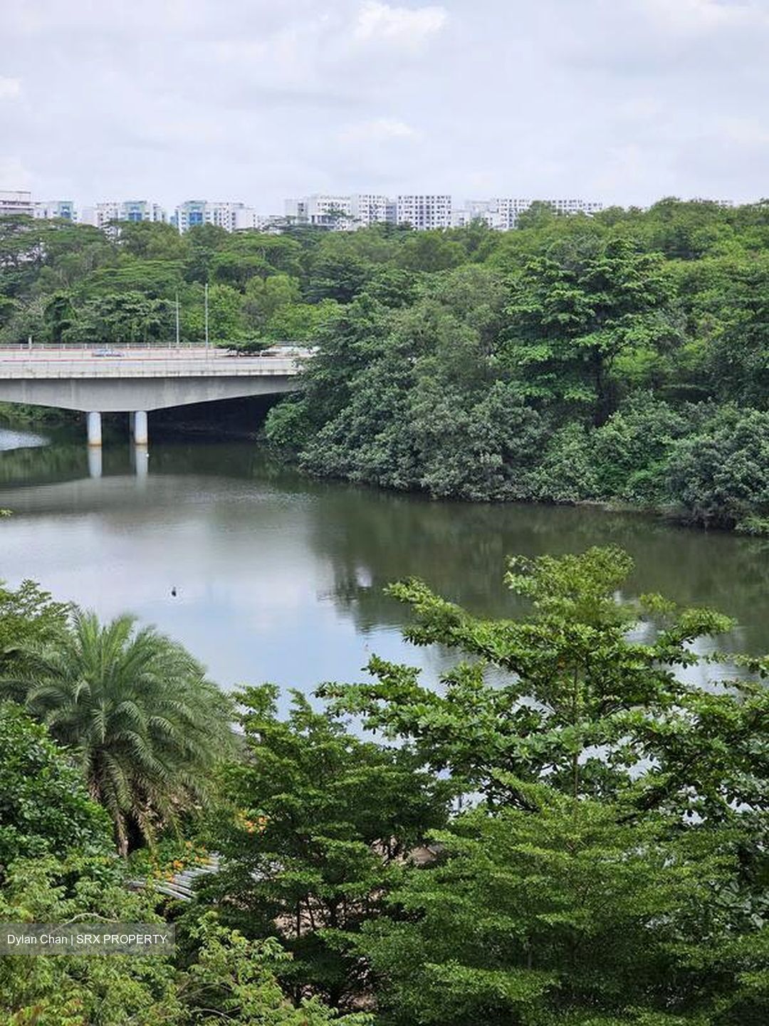 Blk 476C Hougang Capeview (Hougang), HDB 5 Rooms #463255801